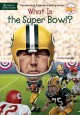 Go to record What is the Super Bowl?