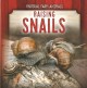Go to record Raising snails