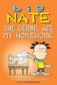 Go to record Big Nate. The gerbil ate my homework