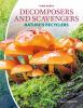 Go to record Decomposers and scavengers : nature's recyclers