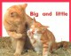 Go to record Big and little
