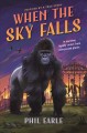 Go to record When the sky falls
