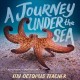 Go to record A journey under the sea
