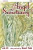 Go to record Angel sanctuary. #13