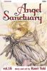 Go to record Angel sanctuary. #16