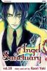 Go to record Angel sanctuary. #18
