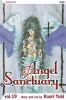 Go to record Angel sanctuary. #19