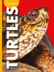 Go to record Curious about turtles