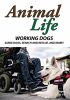 Go to record Animal life. Working dogs : guide dogs, search and rescue,...