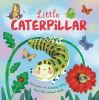 Go to record Little caterpillar