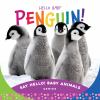 Go to record Hello baby penguin!