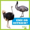 Go to record Emu or ostrich?