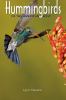 Go to record Hummingbirds of the American West