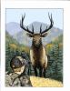 Go to record The muddy elk