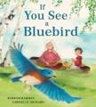 Go to record If you see a bluebird