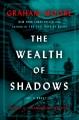 Go to record The wealth of shadows