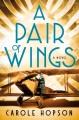 Go to record A pair of wings