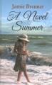 Go to record A novel summer