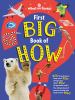 Go to record First big book of how