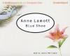 Go to record Blue shoe