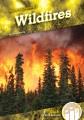 Go to record Wildfires