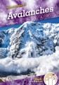 Go to record Avalanches
