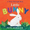 Go to record Little bunny : a peek-through book