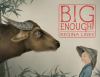 Go to record Big enough