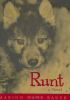 Go to record Runt