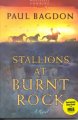 Go to record Stallions at Burnt Rock : a novel