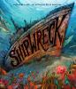 Go to record Shipwreck