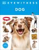 Go to record Dog