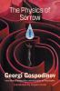 Go to record The physics of sorrow