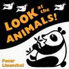 Go to record Look at the animals!