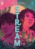 Go to record Stream : a novel in two voices