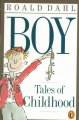 Go to record Boy : tales of childhood