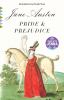 Go to record Pride and prejudice