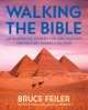 Go to record Walking the Bible : an illustrated journey for kids throug...