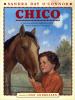 Go to record Chico
