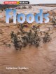 Go to record Floods