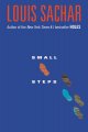 Go to record Small steps