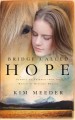 Go to record Bridge called hope