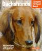 Go to record Dachshunds : everything about purchase, care, nutrition, a...