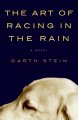 Go to record The art of racing in the rain