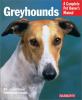 Go to record Greyhounds : everything about purchase, care,  nutrition, ...