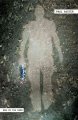 Go to record Man in the dark