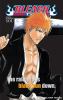Go to record Bleach Souls official character book